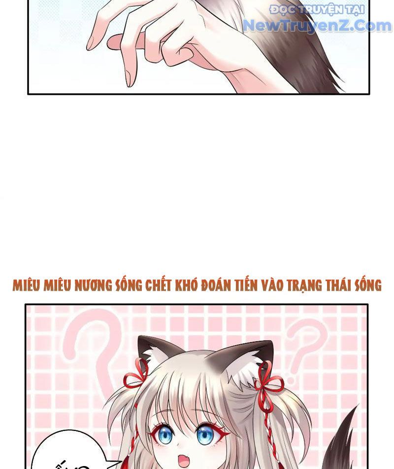 Sau Khi Mẹ Bị Giết, Tôi Trở Thành Miêu Nương Chapter 11 - Trang 2