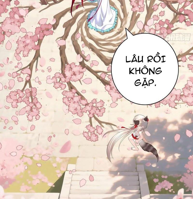 Sau Khi Mẹ Bị Giết, Tôi Trở Thành Miêu Nương Chapter 29 - Trang 2