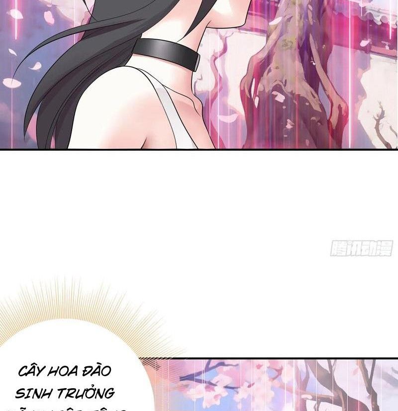 Sau Khi Mẹ Bị Giết, Tôi Trở Thành Miêu Nương Chapter 29 - Trang 2