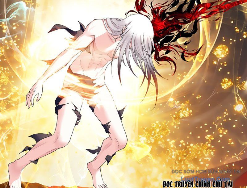 Sau Khi Mẹ Bị Giết, Tôi Trở Thành Miêu Nương Chapter 52 - Trang 2