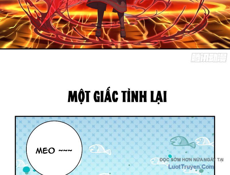Sau Khi Mẹ Bị Giết, Tôi Trở Thành Miêu Nương Chapter 53 - Trang 2