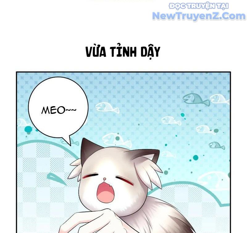 Sau Khi Mẹ Bị Giết, Tôi Trở Thành Miêu Nương Chapter 9 - Trang 2