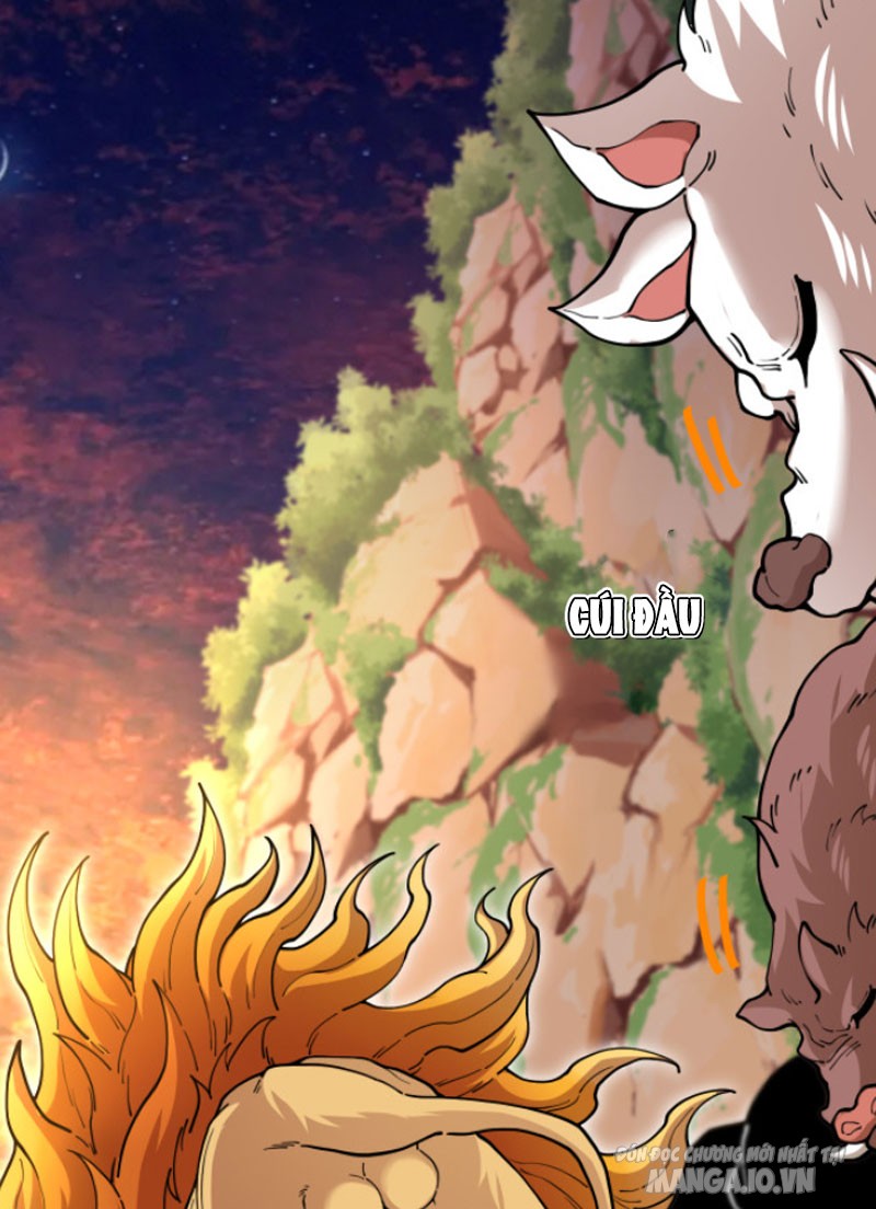 Sau Khi Nằm – Ta Trở Thành Đại Yêu Chi Vương Chapter 1 - Trang 2