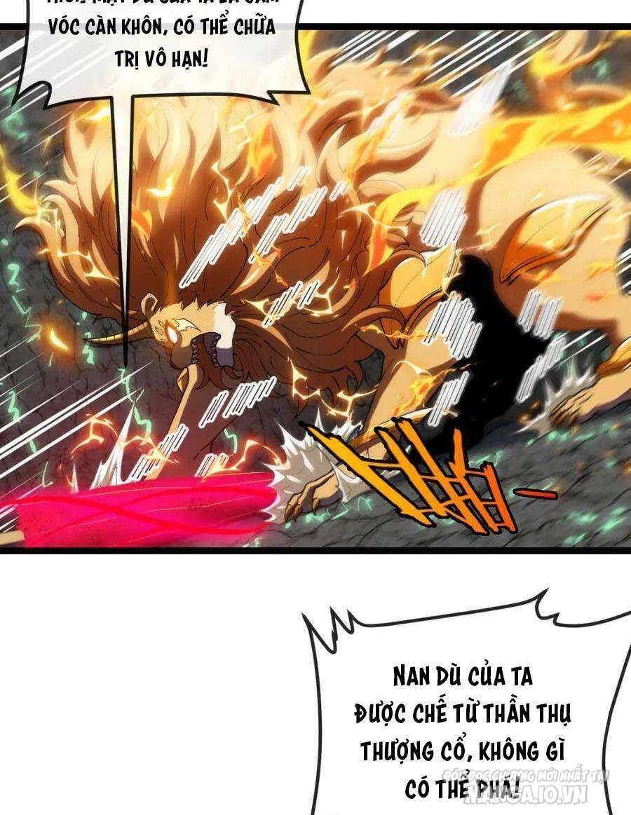 Sau Khi Nằm – Ta Trở Thành Đại Yêu Chi Vương Chapter 11 - Trang 2