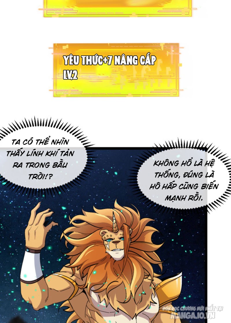 Sau Khi Nằm – Ta Trở Thành Đại Yêu Chi Vương Chapter 4 - Trang 2