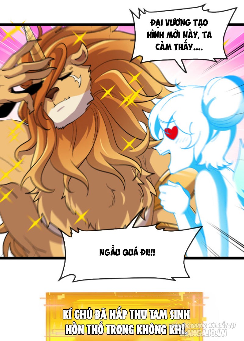 Sau Khi Nằm – Ta Trở Thành Đại Yêu Chi Vương Chapter 5 - Trang 2