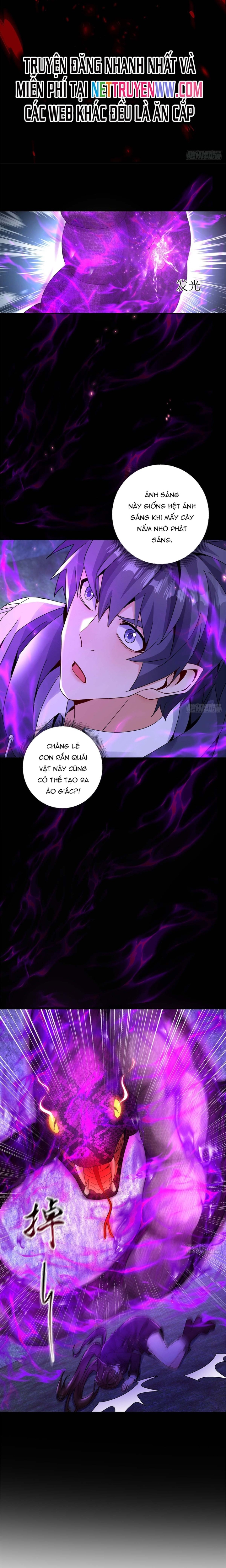 Sau Khi Sống Lại Ở Mạt Thế, Ta Điên Cuồng Thăng Cấp Chapter 11 - Trang 2