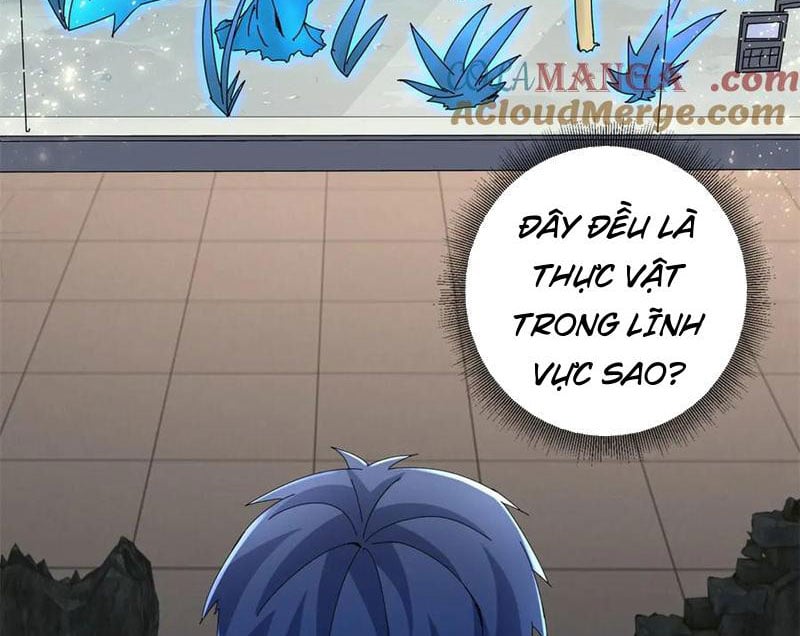 Sau Khi Sống Lại Ở Mạt Thế, Ta Điên Cuồng Thăng Cấp Chapter 34 - Trang 2