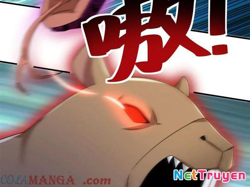 Sau Khi Sống Lại Ở Mạt Thế, Ta Điên Cuồng Thăng Cấp Chapter 41 - Trang 2