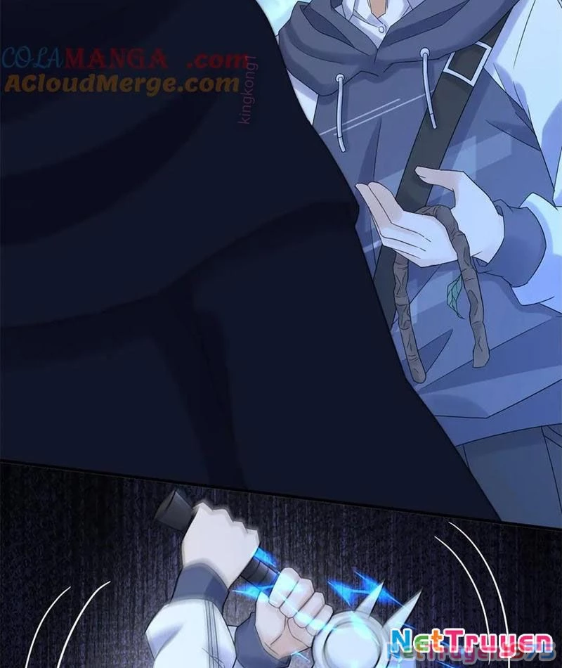 Sau Khi Sống Lại Ở Mạt Thế, Ta Điên Cuồng Thăng Cấp Chapter 43 - Trang 2