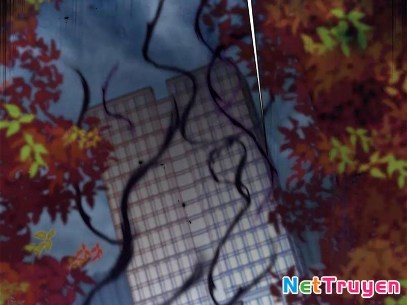 Sau Khi Sống Lại Ở Mạt Thế, Ta Điên Cuồng Thăng Cấp Chapter 47 - Trang 2