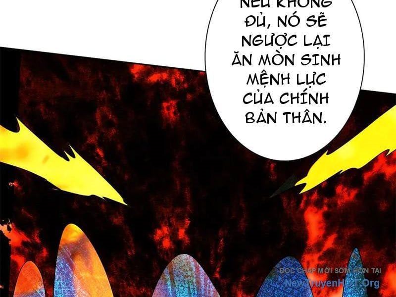Sau Khi Sống Lại Ở Mạt Thế, Ta Điên Cuồng Thăng Cấp Chapter 62 - Trang 2