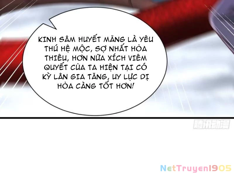 Sau Khi Thổ Lộ Với Mỹ Nữ Tông Chủ, Ta Vô Địch! Chapter 61 - Trang 2