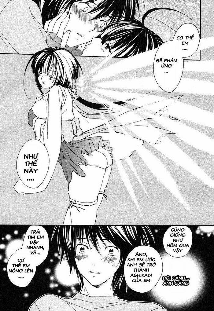 Sekirei Chapter 2 - Trang 2