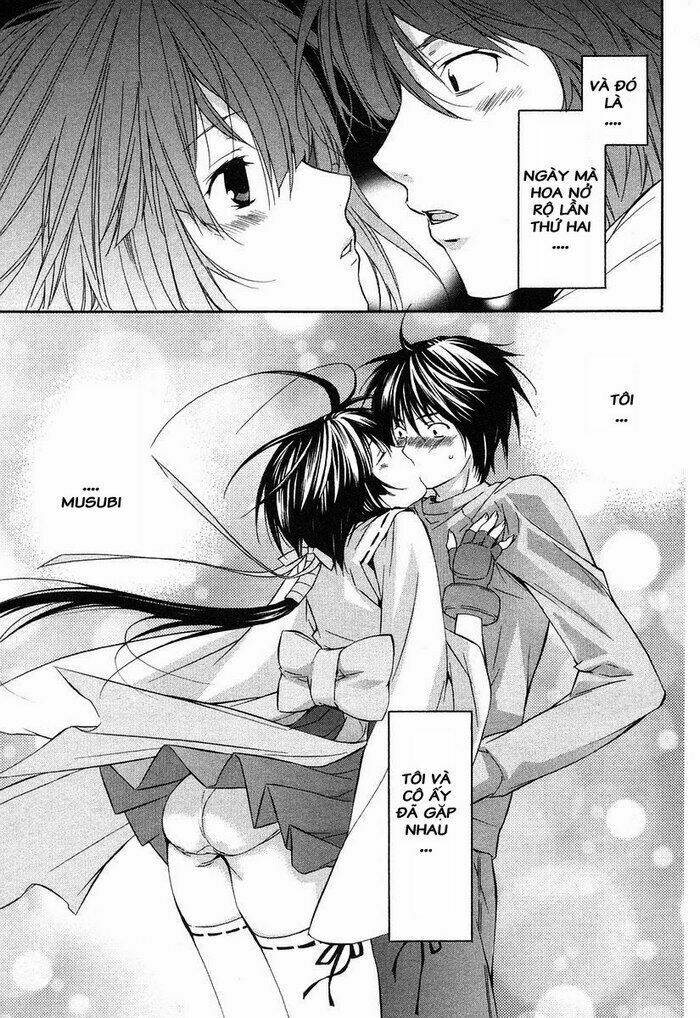 Sekirei Chapter 4 - Trang 2