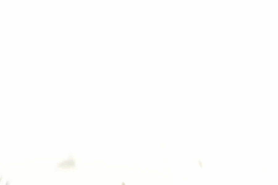 Seoul Tử Linh Sư Chapter 76.5 - Trang 2