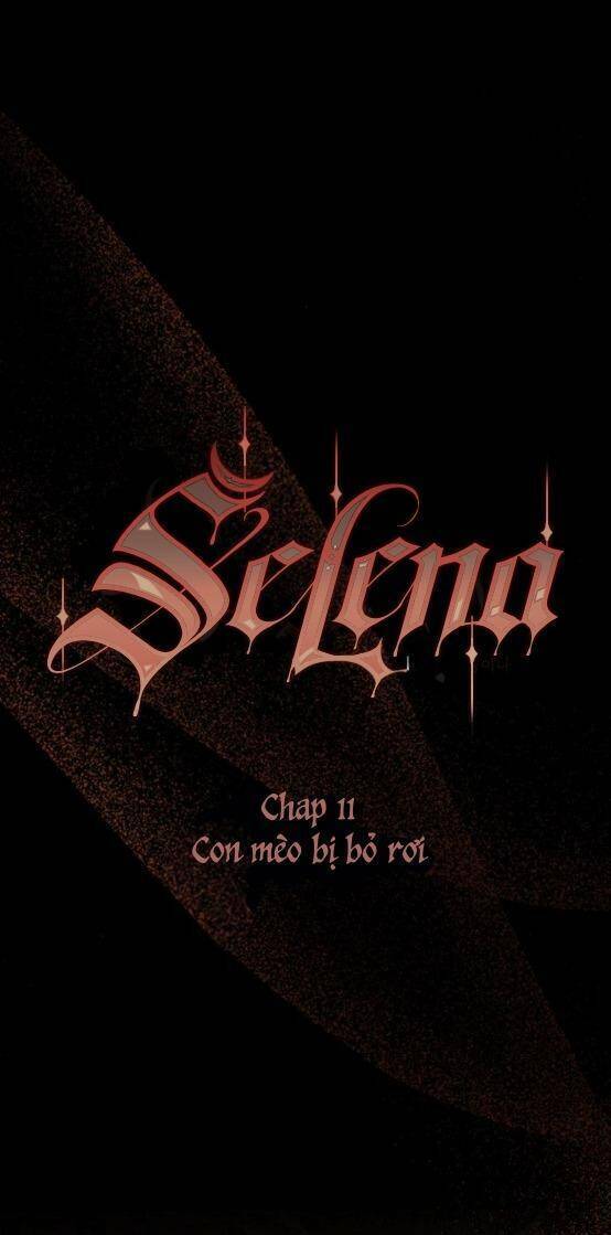 Serena Chapter 11 - Trang 2