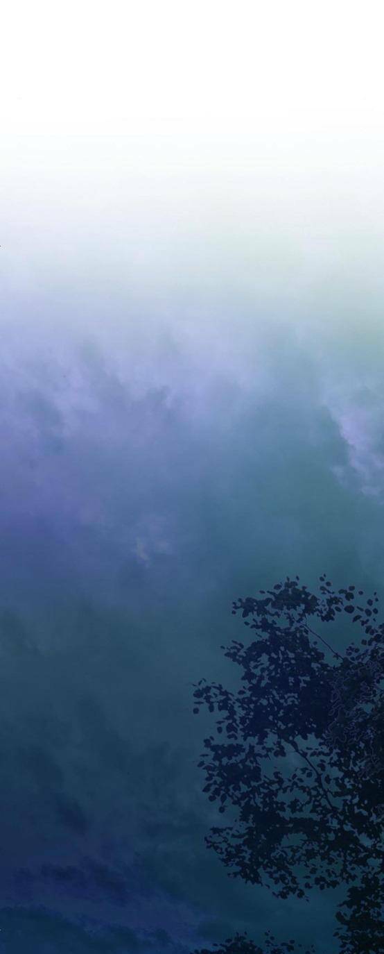 Serena Chapter 16 - Trang 2