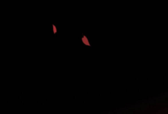 Serena Chapter 18 - Trang 2