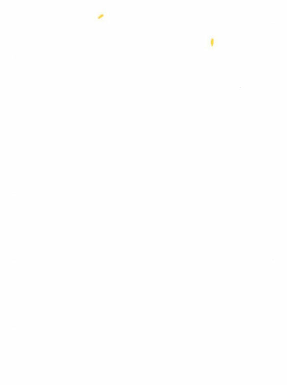 Serena Chapter 23.1 - Trang 2