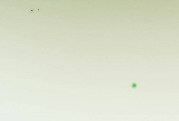 Serena Chapter 24.1 - Trang 2