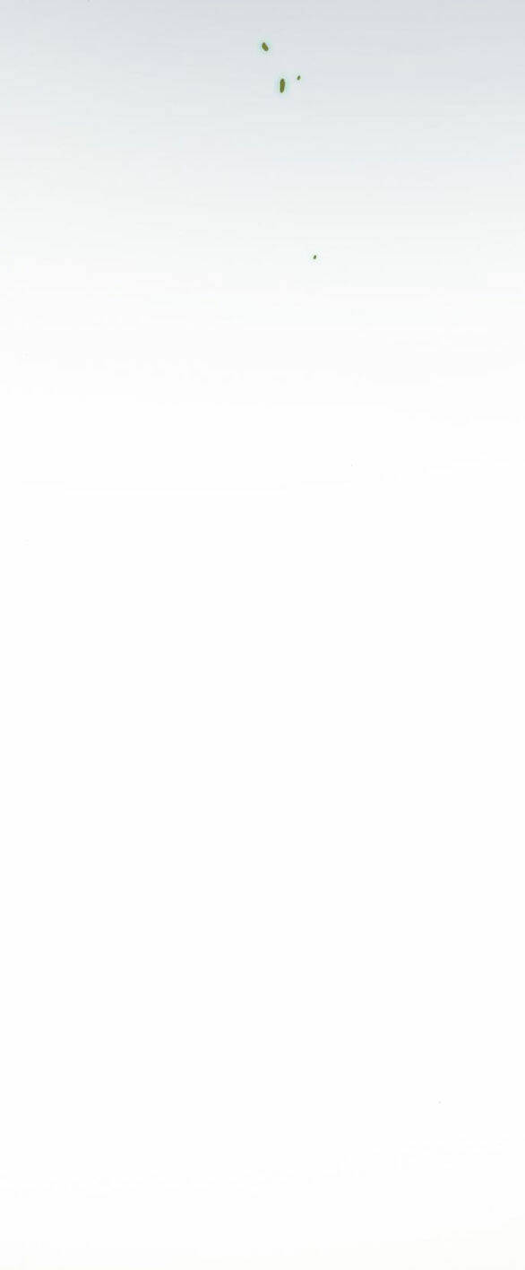 Serena Chapter 35.1 - Trang 2