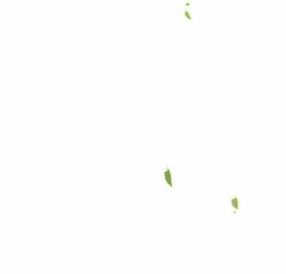 Serena Chapter 38.1 - Trang 2