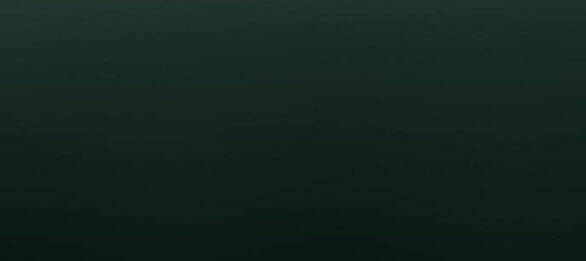 Serena Chapter 38.2 - Trang 2