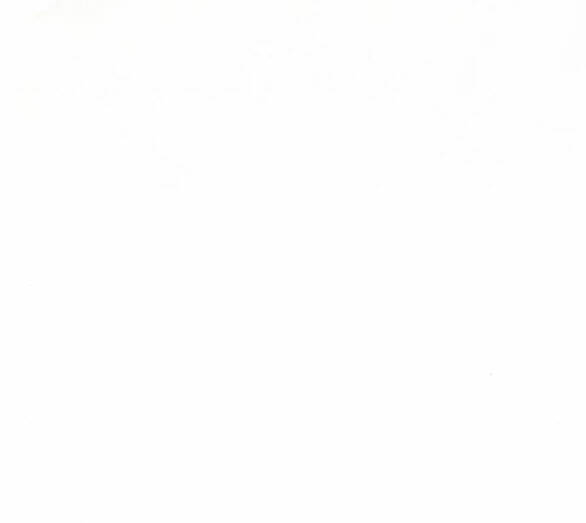 Serena Chapter 38.2 - Trang 2