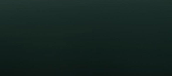 Serena Chapter 38.3 - Trang 2