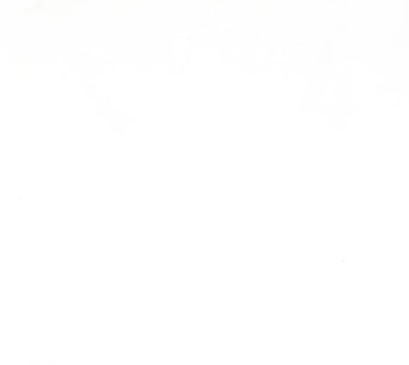 Serena Chapter 38.3 - Trang 2