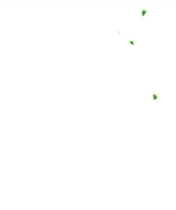 Serena Chapter 38.6 - Trang 2