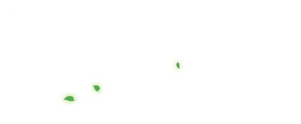 Serena Chapter 38.7 - Trang 2