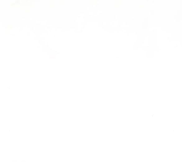 Serena Chapter 38.7 - Trang 2