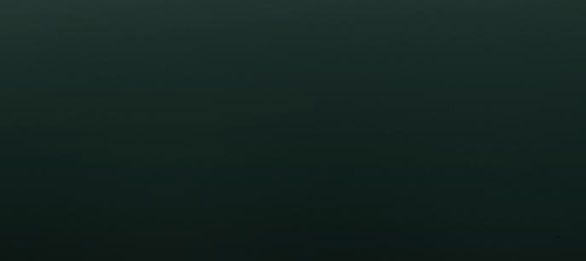 Serena Chapter 38.8 - Trang 2