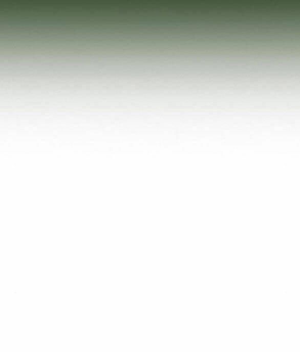 Serena Chapter 41.1 - Trang 2