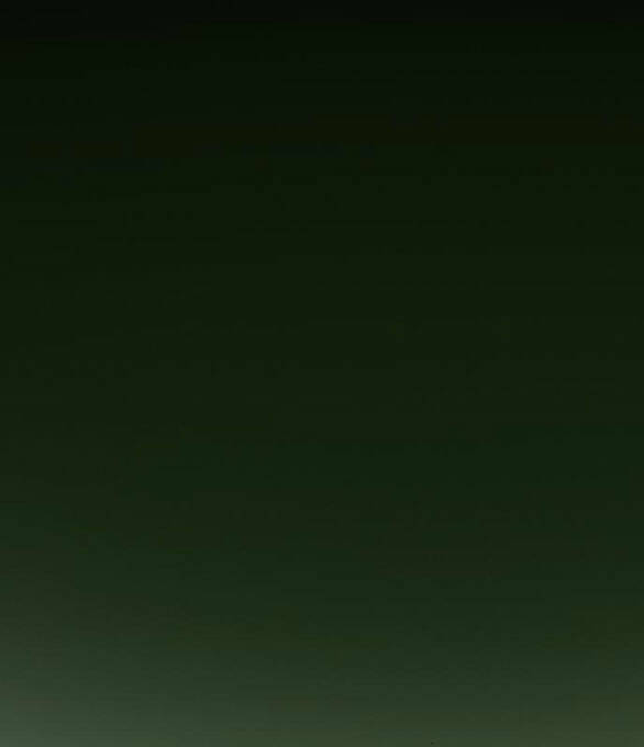 Serena Chapter 41.2 - Trang 2