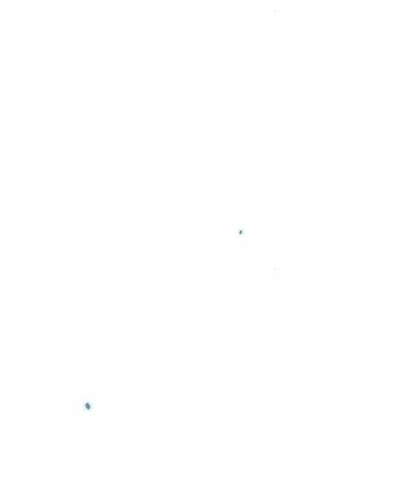 Serena Chapter 42.1 - Trang 2