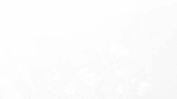 Serena Chapter 43.2 - Trang 2