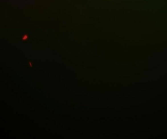 Serena Chapter 43.2 - Trang 2