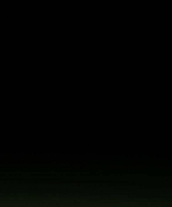 Serena Chapter 44.1 - Trang 2