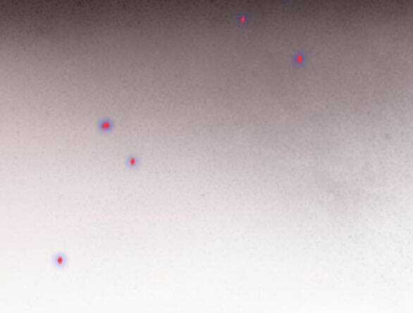 Serena Chapter 44.2 - Trang 2