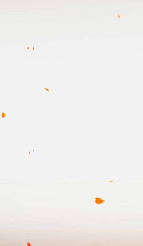 Serena Chapter 45.2 - Trang 2