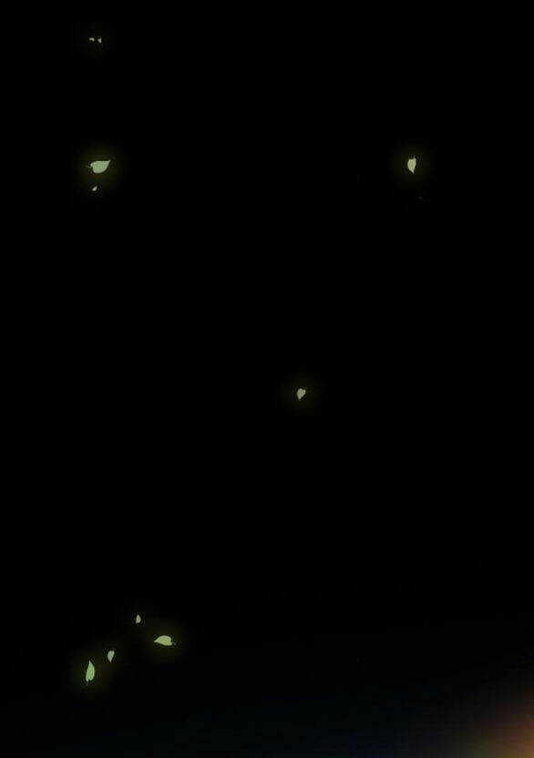 Serena Chapter 45.2 - Trang 2