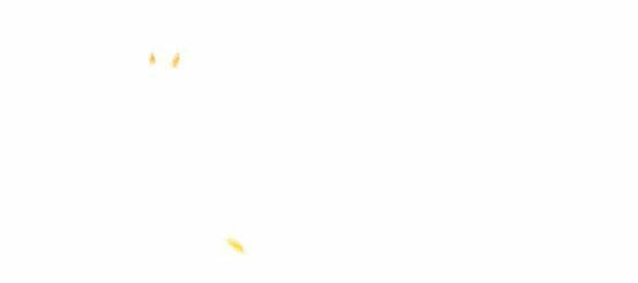 Serena Chapter 46.1 - Trang 2