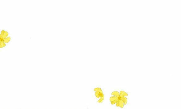 Serena Chapter 46.2 - Trang 2