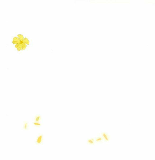 Serena Chapter 46.2 - Trang 2