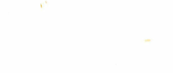 Serena Chapter 46.2 - Trang 2