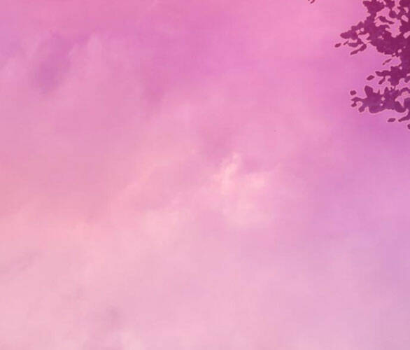 Serena Chapter 47.2 - Trang 2