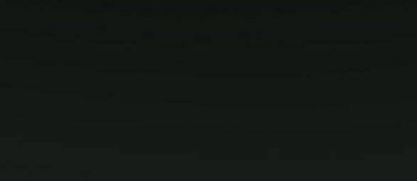 Serena Chapter 48.1 - Trang 2